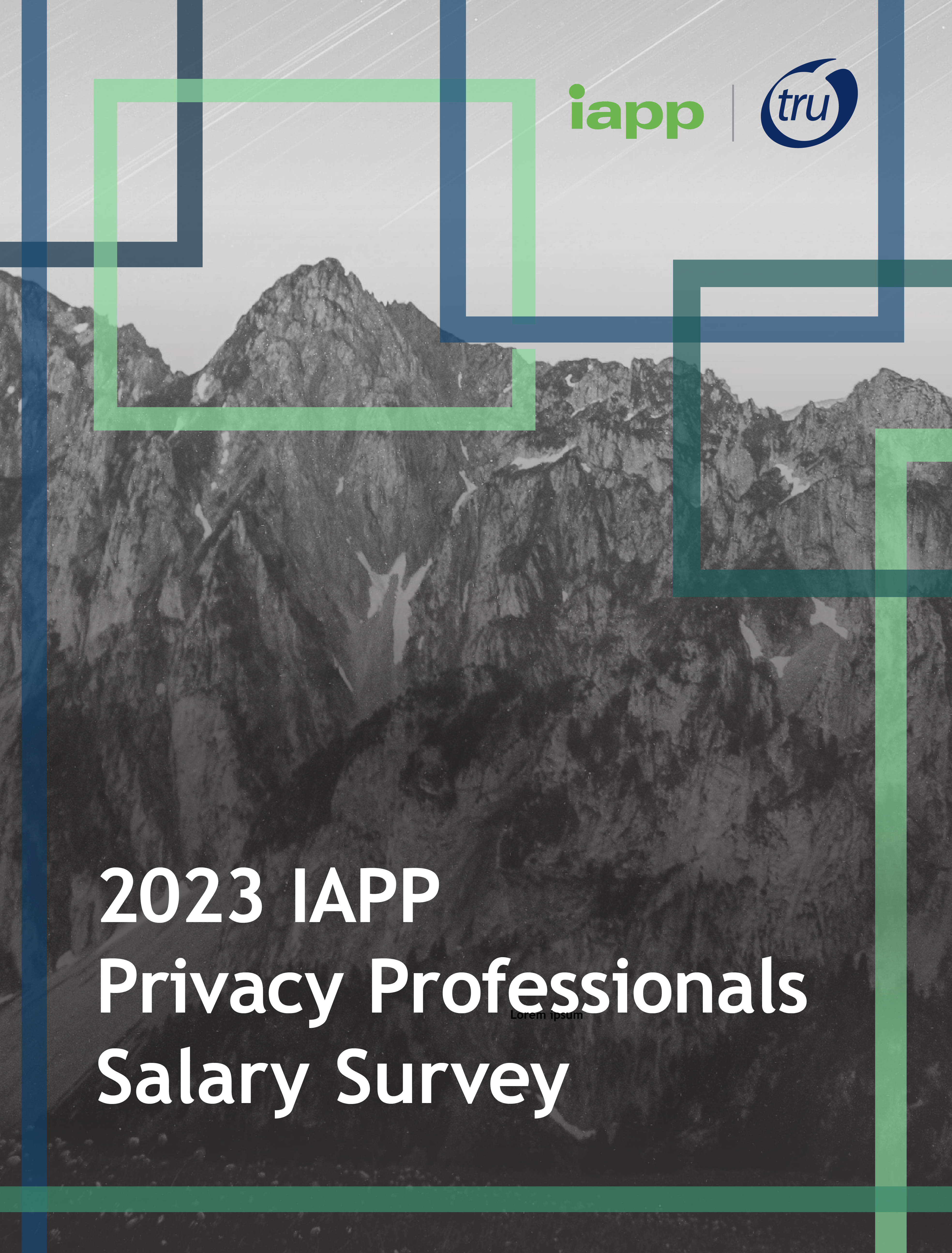 2023_iapp_privacy_professionals_salary_survey-01